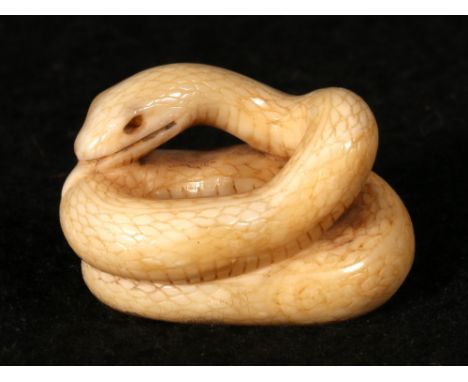 Japanese ivory netsuke depicting a coiled snake, signed, 3.5cm Meiji CONDITION REPORT: Slightly dirty particularly inside the