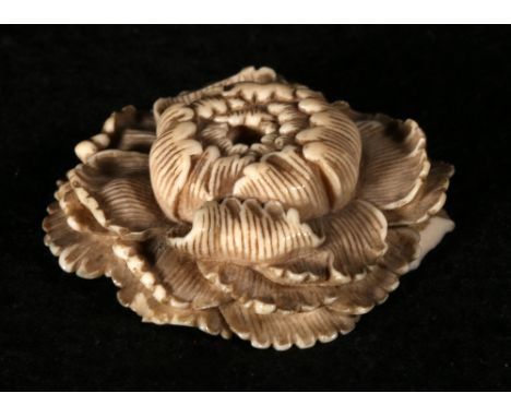 Japanese Manju netsuke, well carved in the form of a chrysanthemum with part open petals, signed, 5cm, Meiji CONDITION REPORT