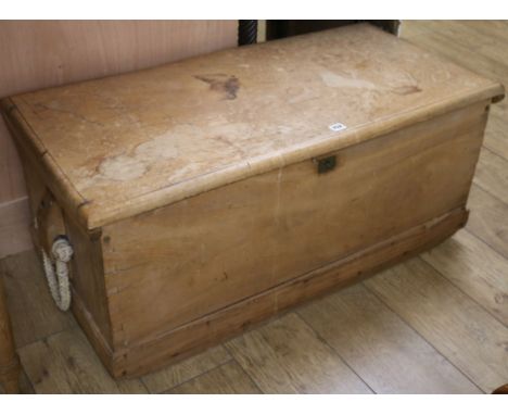 A pine trunk, W.101cm