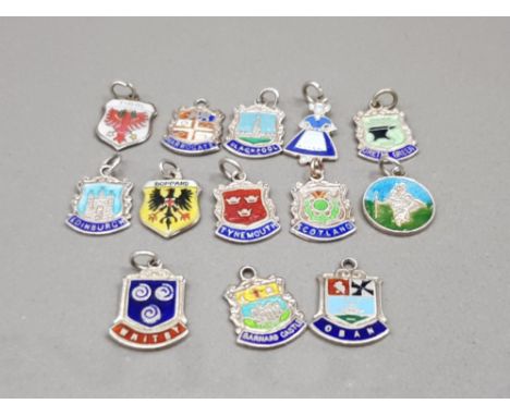 13 SILVER AND ENAMEL SHIELD CHARMS