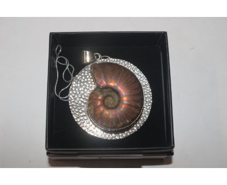 A Hallmarked Sterling silver mounted ammonite fossil pendant and chain, approx. 41gms total weight 