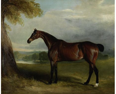 John Ferneley Junior (British, 1815-1862)Portrait of a bay horse signed, inscribed and dated 'John Ferneley Jnr./Melton Mowbr