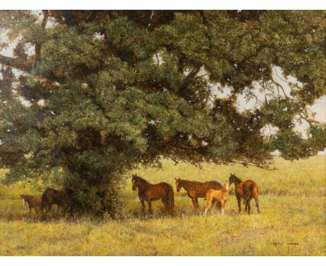 Enrique Castro (b.1938) Horses under an oak tree, oil on canvas, signed lower right, 44.5cm x 59.5cmOne patch of damage to ce