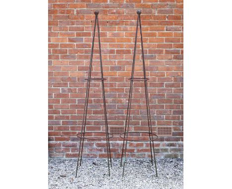 A pair of wrought iron conical garden rose supports, both with a ball finial, standing 206cm highOxidised overall.