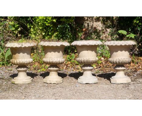 A set of four Victorian or Edwardian buff terracotta garden urns of campana form, with egg and dart rims, gadrooned bodies an