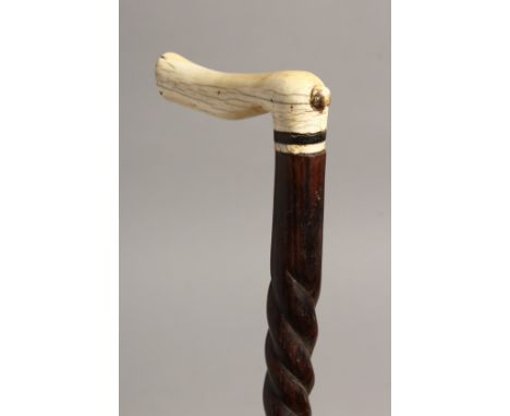 A GOOD 19TH CENTURY BONE HANDLE WALKING STICK with twist stem. 30.5ins long.