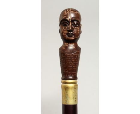 A NOVELTY WALKING STICK with PHRENOLOGY HEAD handle 36ins long