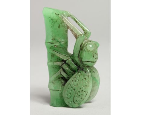 A CHINESE CARVED JADE FLY  CARVING 2.5ins high.