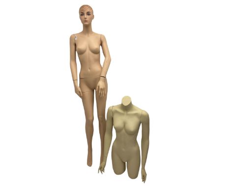Full body mannequin (H175cm), and torso mannequin (H91cm)