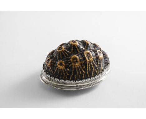 A GEORGE II SCOTTISH PROVINCIAL MOUNTED TERRAPIN/TURTLESHELL SNUFF BOX with borders of reeding and engraved lappets, and a sh
