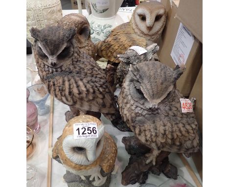 Selection of detailed ceramic and moulded owls (6). Not available for in-house P&amp;P, contact Paul O'Hea at Mailboxes on 01