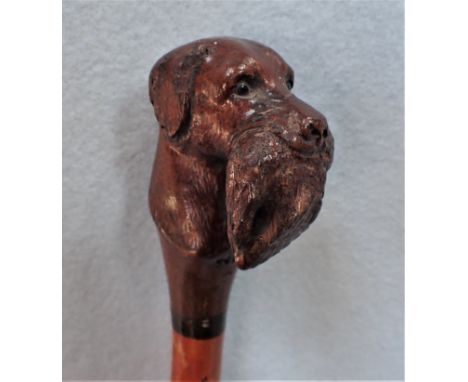 A VICTORIAN WALKING STICK with carved hunting dog's head with glass eyes