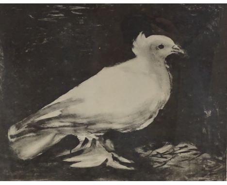 Pablo Picasso, lithograph, the dove, printed signature, image size 11" x 13", framed 