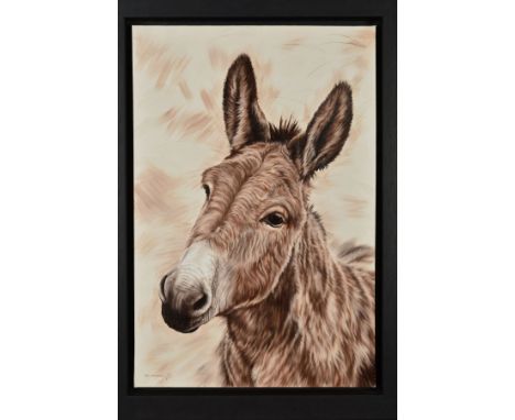TONI HARGREAVES (BRITISH CONTEMPORARY) 'SMART ASS', a sepia portrait of a donkey, signed bottom left, oil on canvas, framed, 