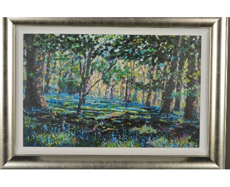 TIMMY MALLETT (BRITISH 1955) 'BLUEBELL SHADOWS', a limited edition print of a woodland scene 1/195, signed verso, with certif