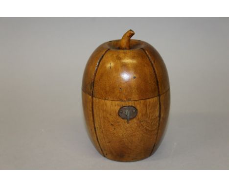 A GOOD MELON TEA CADDY with hinged lid and lock. 6ins high. 