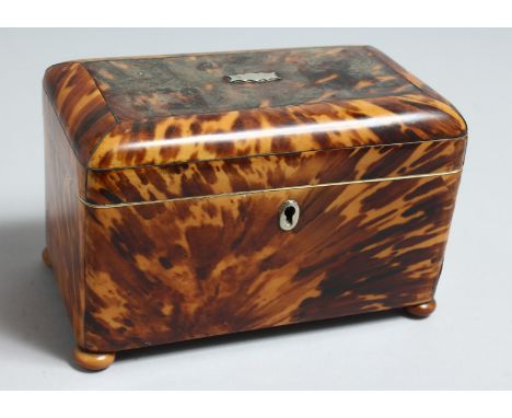 A GOOD REGENCY TORTOISESHELL STRAIGHT FRONTED TWO DIVISION TEA CADDY, ON FOUR BUN FEET. 6.5ins long