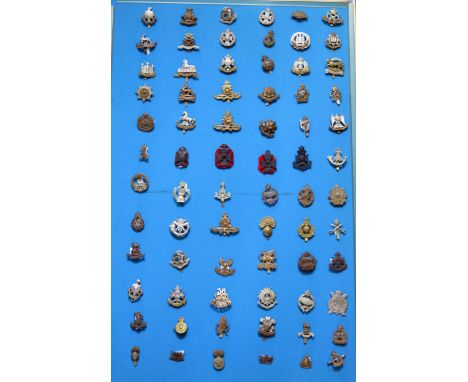 A collection of British army cap badges including Sussex, Wiltshire, Middlesex, East Surrey, Cheshire, Berkshire, South Wales