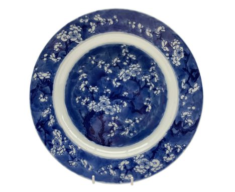 18th century Chinese kangxi blue and white plate, painted in the centre with flowering prunus beneath a blossom border, with 