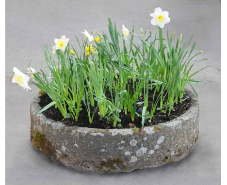 A Victorian circular sandstone trough.  Diameter 36 ins, height 9 ins.  