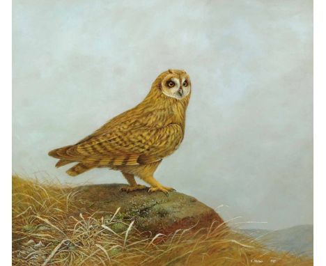 K. Nelson, acrylic painting of a short eared owl.  17 ins x 19ins, framed, signed and dated 1985.