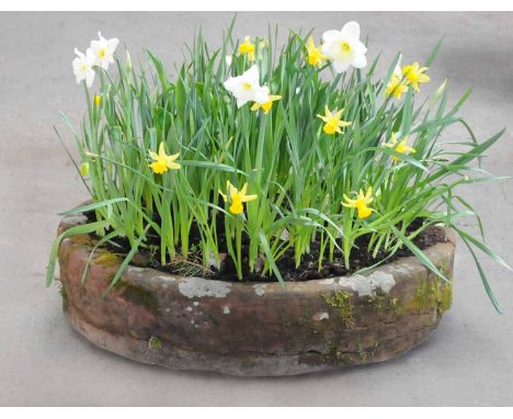 A Victorian circular sandstone trough.  Diameter 35 ins, height 9 ins. 