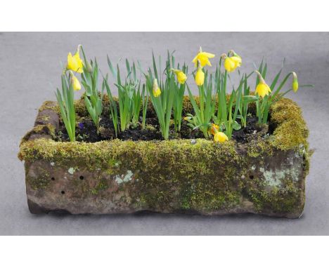 A Victorian sandstone trough, rectangular.  Length 32 ins, depth 18 ins, height 9 ins. 
