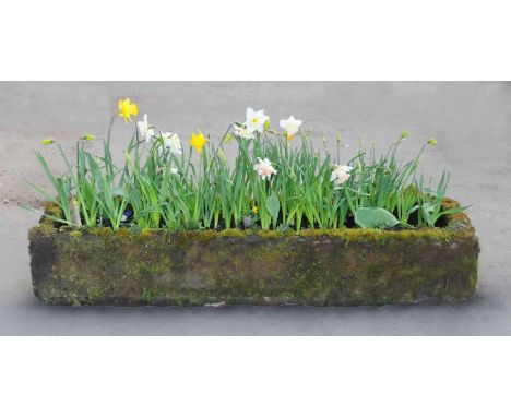 A Victorian rectangular sandstone trough, long.  Length 55 ins, depth 16 ins, height 11 ins. 
