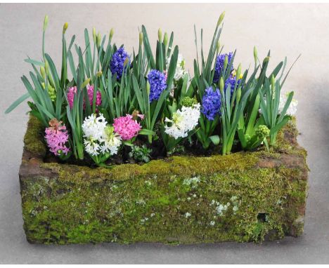 A Victorian sandstone trough, rectangular.  Width 39 ins, depth 23 ins, height 12 ins. 