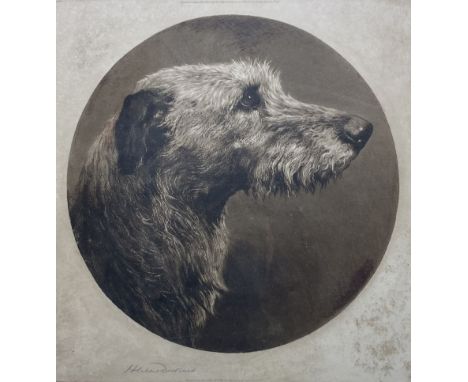 Herbert Dicksee (British 1862-1942): 'The Old Wolfhound', drypoint etching on vellum signed in pencil, pub. 1912, in rosewood