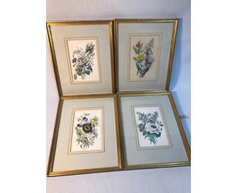 A set of 4 printed and coloured flower prints, by James Andrew dated 1847. Frame measures 27x21cm 