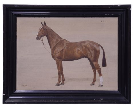 Frances (Florence) Mabel Hollams (1877-1963)'Lop', portrait of a horse, oil on panel, signed, framed, labelled verso 'Francis