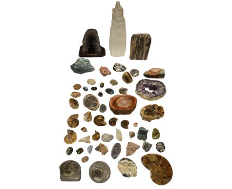 Natural History: A large collection of mineral specimens and fossils, including: a large satin spar; large shattuckite; carne