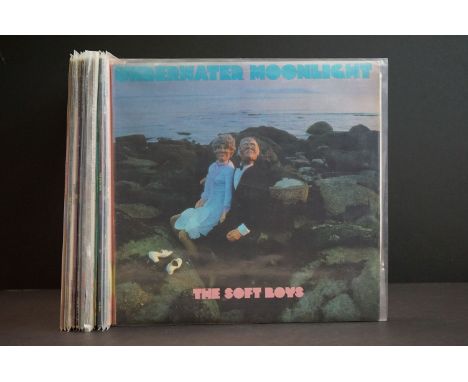 Vinyl - The Soft Boys / Robyn Hitchcock And The Egyptians - 14 Original albums to include: The Soft Boys - The Soft Boys – Un