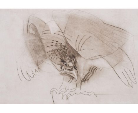 Roland Jarvis (1926 - 2016), bird of prey, etching, signed in pencil, no. 26/75, plate 40cm x 60cm, framedGood condition 