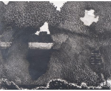 Cedric Horner (1937 - 2003), Hedge Gaps, etching, signed in pencil, no. 5/20, plate 25cm x 32cm, framedA few very light fox m
