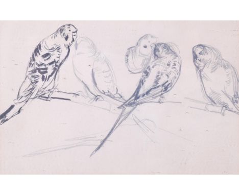 A group of parakeets, ink/pencil sketch, late 19th/early 20th century, unsigned, 20cm x 31cm, framedVery slight paper discolo