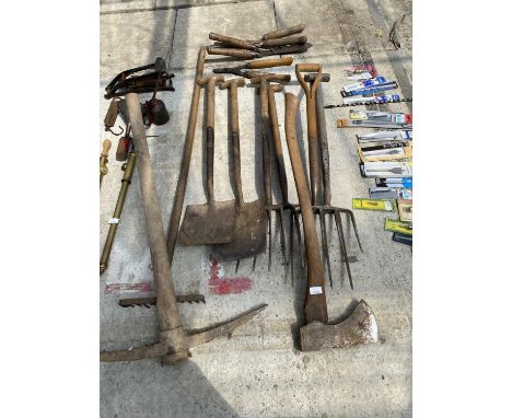 VARIOUS VINTAGE GARDEN TOOLS - AXE, SPADES, FORKS ETC 