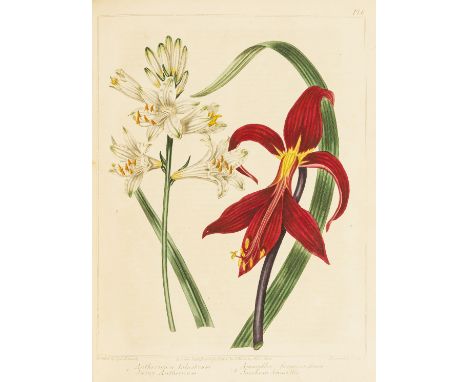 Dictionaries.- McDonald (Alexander) A Complete Dictionary of Practical Gardening: Comprehending all the Modern Improvements i