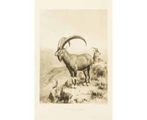 Africa.- Powell-Cotton (Maj. P.H.G.) A Sporting Trip through Abyssinia, first edition, half-title, frontispiece, illustration