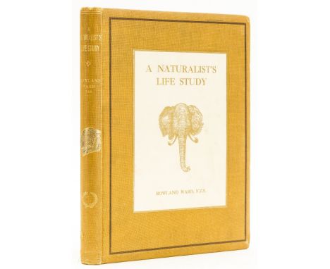 Africa.- Big Game.- Ward (Rowland) A Naturalist's Life Study in the Art of Taxidermy, first edition, portrait frontispiece, i