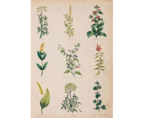 NO RESERVE Herbals.- Culpeper (Nicholas) The Complete Herbal, engraved portrait frontispiece and 20 hand-coloured botanical p