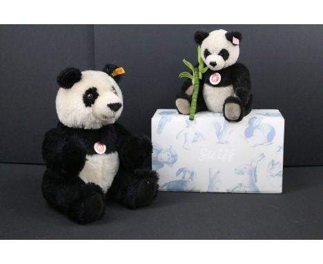 Steiff - Boxed ltd edn Steiff No. 036538 Panda 2008 Bear with ltd edn COA No. 1349/2008 and white tag and button to ear, plus