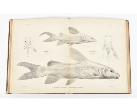 Matériaux pour la faune du Congo. Tome I: Poissons nouveaux. Tome II: Additions à la faune ichthyologiques, batraciens et rep