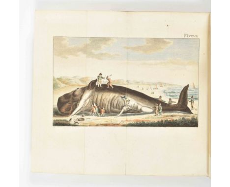 Leiden, Honkoop and Mortier, 1793-1800. 3 vols. Rare ed. of Pasteur's work, extra ill. w. 3 col. and 3 b/w title-p. engr., an