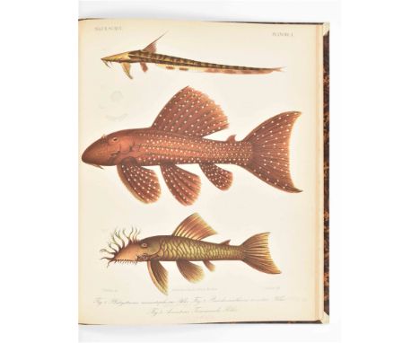 van het Hollandsche Maatschappij. Achtiende deel. Mémoire sur les poissons de la Côte de Guinée. Haarlem, Erven Loosjes, 1863