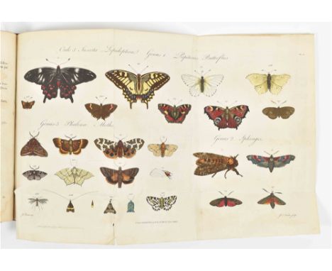constatés par divers échantillons d'insectes d'Angleterre, copiés d'après nature. London, J. Dixwell, 1781. (24),369,(20) p. 