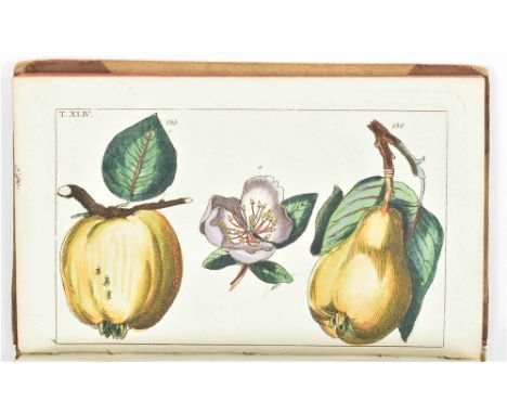 Des Pflanzenreichs Vierter Theil. Augsburg, M. Engelbrecht, 1812. (6),764 p. Engr. title-p., 62 beautifully handcol. engr. pl