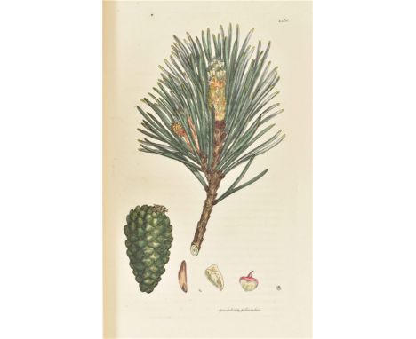 of British Plants, with their Essential Characters (...). London, R. Taylor, 1813. 1st ed. Vol. 35 only (giltnumbered 2449-25