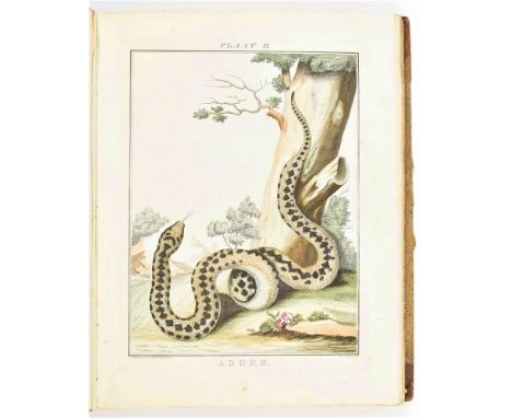 die in het Landschap Drenthe gevonden worden (...). Amst./ Groningen, Erven Houttuin and L. Huisingh, 1781. (6),372 p. Comple